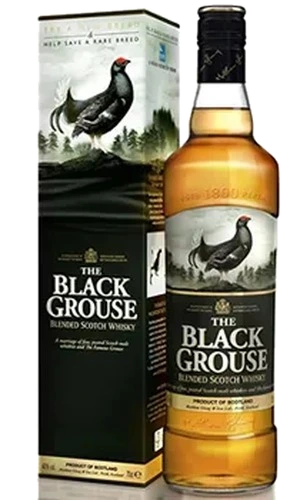 The Black Grouse